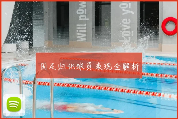 国足归化球员表现全解析