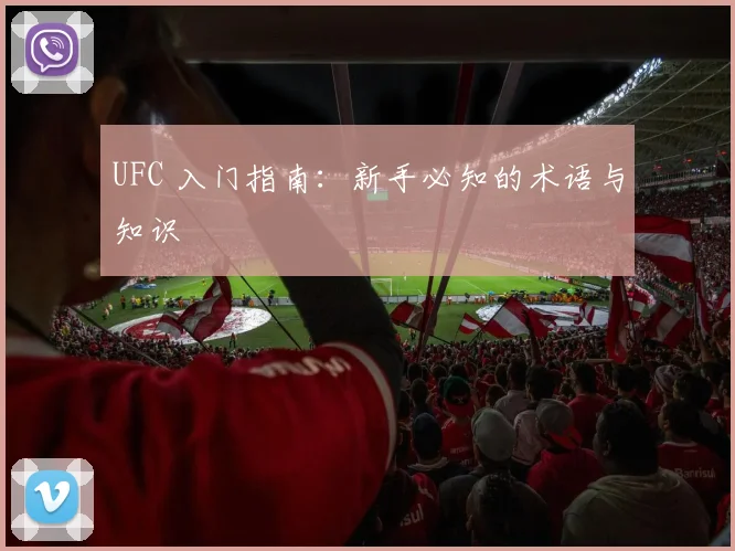 UFC 入门指南：新手必知的术语与知识