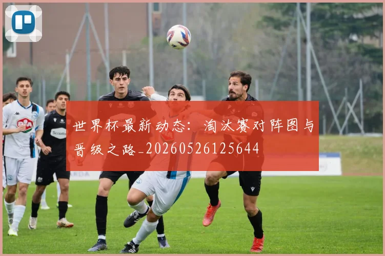 世界杯最新动态:淘汰赛对阵图与晋级之路_20260526125644