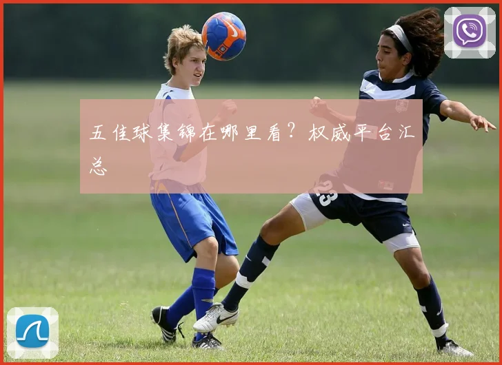 五佳球集锦在哪里看?权威平台汇总