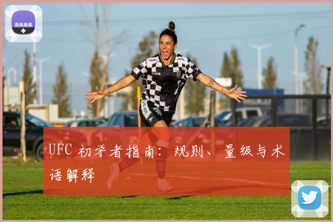 UFC 初学者指南:规则、量级与术语解释
