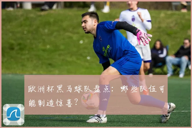 欧洲杯黑马球队盘点：哪些队伍可能制造惊喜？