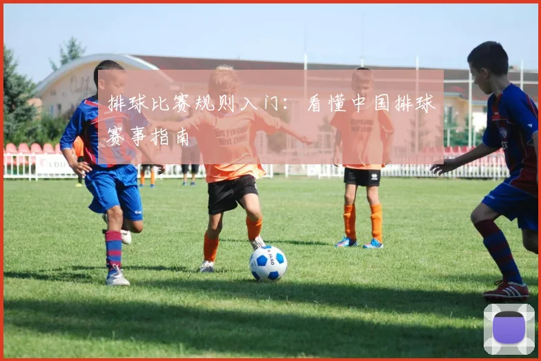 排球比赛规则入门：看懂中国排球赛事指南