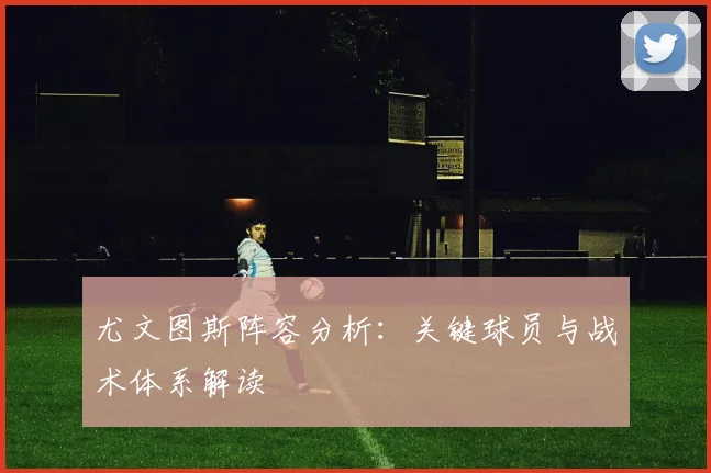 尤文图斯阵容分析：关键球员与战术体系解读