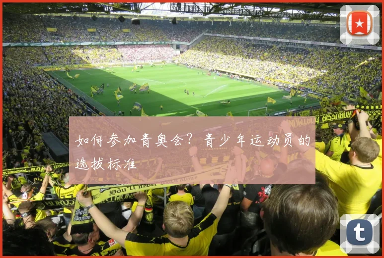 如何参加青奥会?青少年运动员的选拔标准