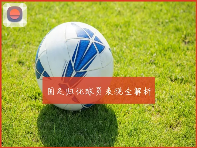 国足归化球员表现全解析