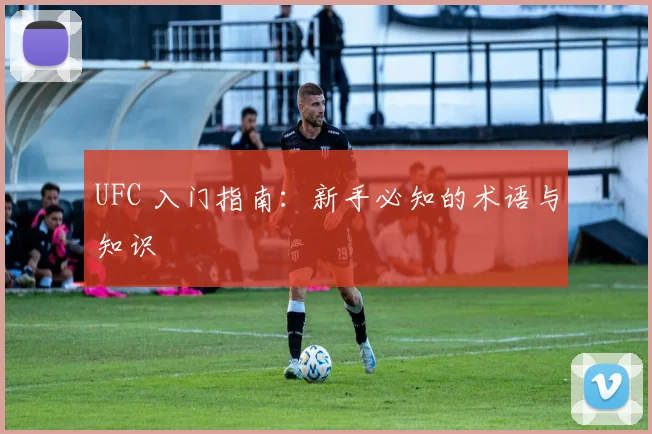UFC 入门指南：新手必知的术语与知识